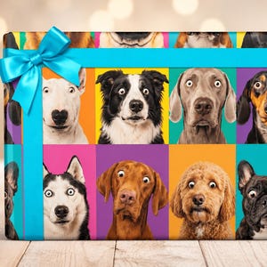 May include: A rectangular gift box wrapped in colorful paper featuring a grid of various dog breeds with wide-eyed expressions. The box is decorated with a bright cyan ribbon tied in a bow across the top, creating a festive and vibrant appearance.