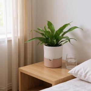 May include: A green leafy plant in a two-toned cylindrical planter. The top section is white with a vertical wavy texture, while the bottom section is a smooth, solid dusty pink. A clear glass of water sits next to the planter on a wooden surface.