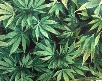 Fabric by 1/2 yard Designer quilting cotton,crafts art ,mixed media Cannabis plant leaf