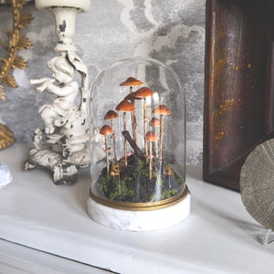 Handmade Conocybe Filaris Mushroom Scene in Glass Cloche with Vintage Marble Base