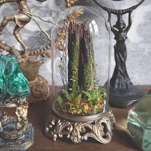 Pode incluir: Uma campânula de vidro decorativa com uma cena de floresta em miniatura. A cena inclui um tronco de árvore coberto de musgo, fetos e pequenos cogumelos. A campânula assenta numa base dourada ornamentada, com outros objetos decorativos no fundo.