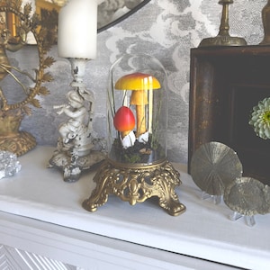 Handmade Amanita Jacksonii Scene in Glass Cloche With Vintage Metal Base