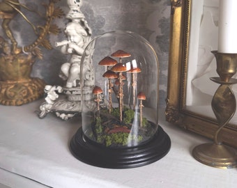 Handmade Conocybe Filaris Mushroom Scene in Glass Cloche