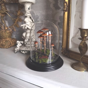 Handmade Conocybe Filaris Mushroom Scene in Glass Cloche