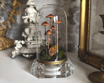 Handmade Conocybe Filaris Mushroom Scene in Glass Cloche with Vintage Base