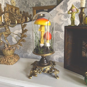 Handmade Amanita Jacksonii Scene in Glass Cloche With Vintage Metal Base