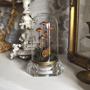Handmade Conocybe Filaris Mushroom Scene in Glass Cloche with Vintage Base