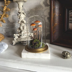May include: A glass cloche with a gold base and a white marble base, containing a small cluster of orange mushrooms on a bed of moss.
