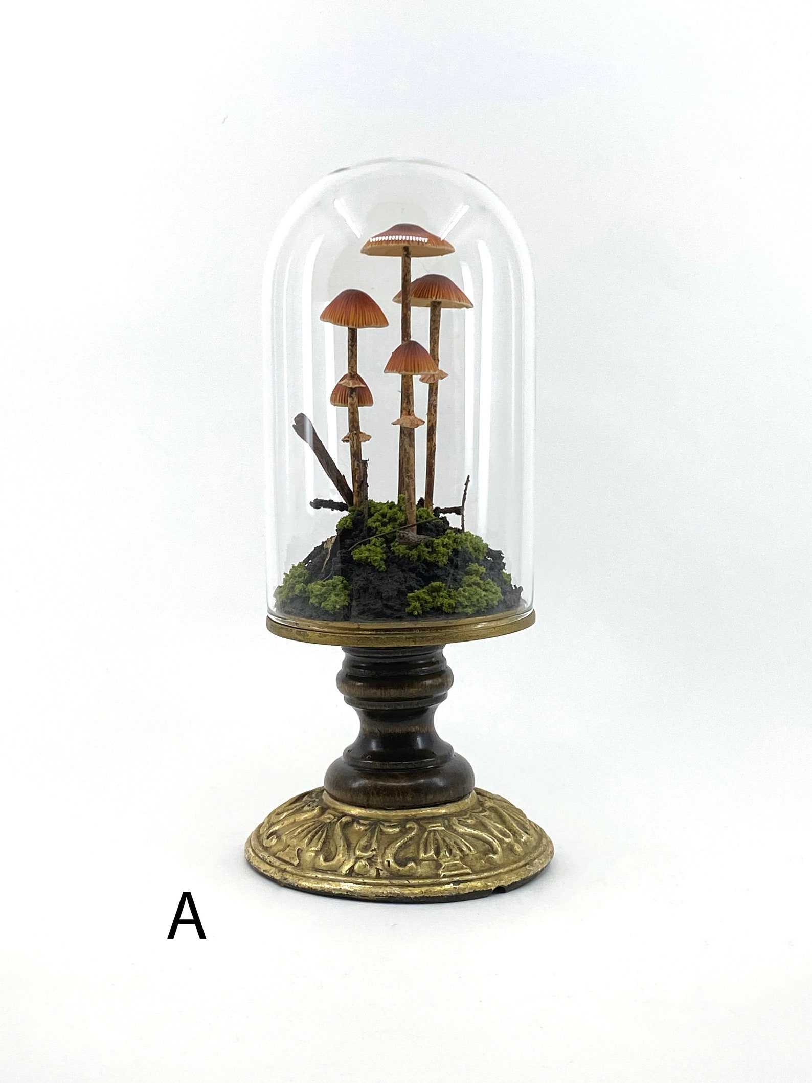 Handmade Conocybe Filaris Mushroom Scene in Glass Cloche With Etsy