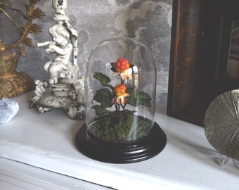 Handmade Cloudberry Plant in a Glass Cloche