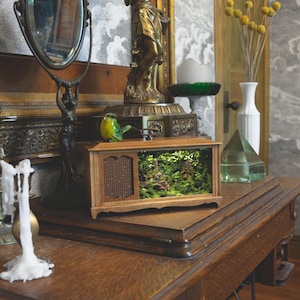 Op de afbeelding: Een rechthoekige houten doos in radiostijl met een luidsprekerrooster aan de linkerkant en een verlicht miniatuur bosdiorama aan de rechterkant. Een klein groen vogelbeeldje staat bovenop de houten behuizing met een natuurlijke bruine afwerking.