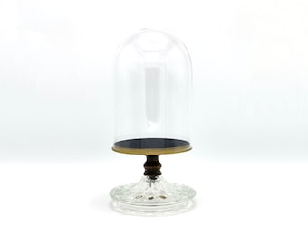 May include: A clear glass dome with a gold-rimmed base sits on a clear glass pedestal with a gold-colored knob. The dome is empty.
