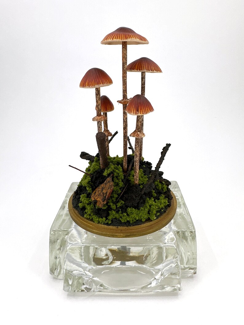 Handmade Conocybe Filaris Mushroom Scene in Glass Cloche With Etsy
