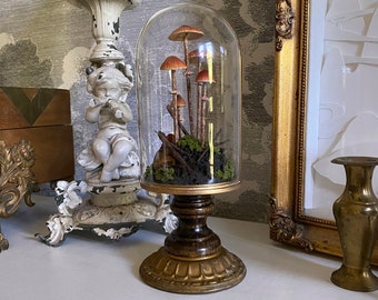 Handmade Conocybe Filaris Mushroom Scene in Glass Cloche with Vintage Base