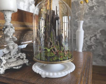 May include: A glass cloche with a wooden stump and moss inside, sitting on a white pedestal with a beaded edge. The cloche is on a dark wood surface with a green glass jar in the foreground.