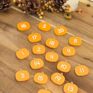 May include: A collection of twenty small, orange, pumpkin-shaped tokens, each featuring a unique white number from 1 to 20 printed on the front. The pumpkin tokens are arranged in a scattered pattern, showcasing a smooth, flat surface design.