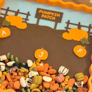 May include: A rectangular orange tray with a scalloped edge featuring a brown field background with a sign that reads PUMPKIN PATCH. The tray includes orange pumpkin cutouts labeled with letters A, J, and F, and a base filled with assorted small colorful autumn-themed sensory items like miniature pumpkins, beans, and pasta shapes.