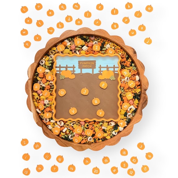 Pumpkin Patch Collection Sensory Kit, Alphabet And Counting Fall Theme Activity, Kids Age 3 4 5 6 7, Homeschool Activity, Screen Free Play
