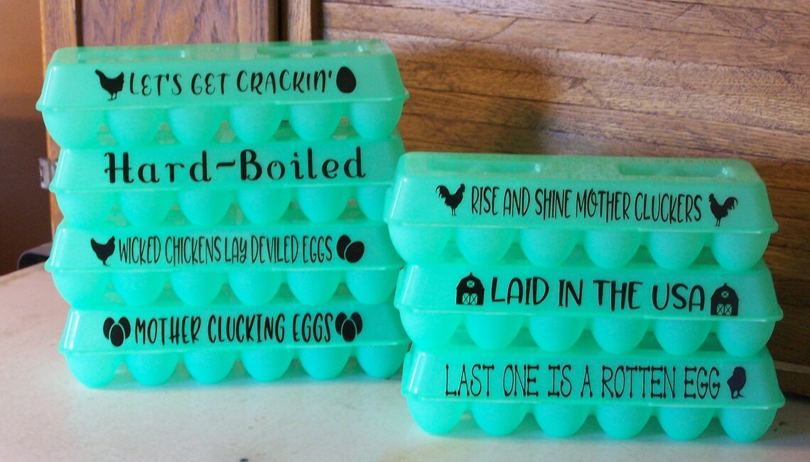 Reusable Egg Carton with funny sayings green plastic BPA Etsy