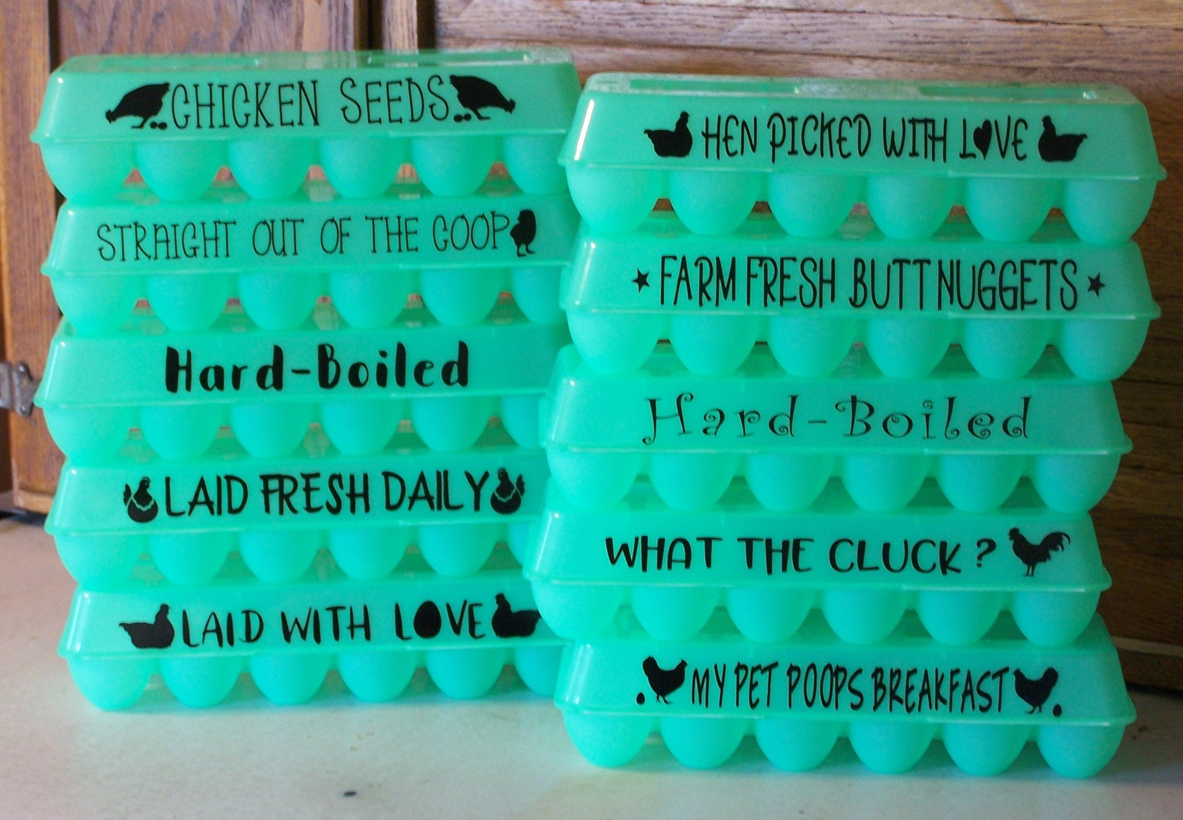 Reusable Egg Carton with funny sayings green plastic BPA Etsy