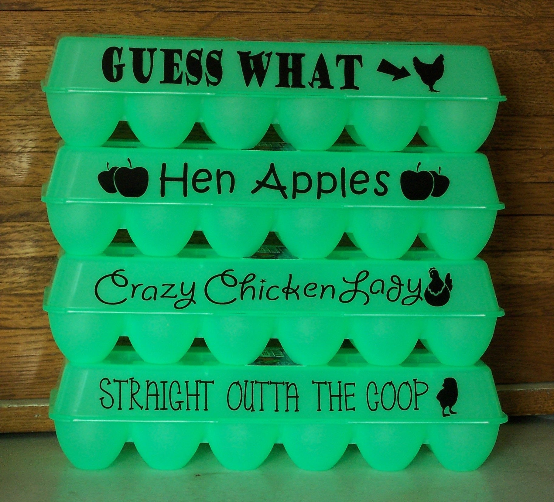 Reusable Egg Carton with funny sayings green plastic BPA Etsy