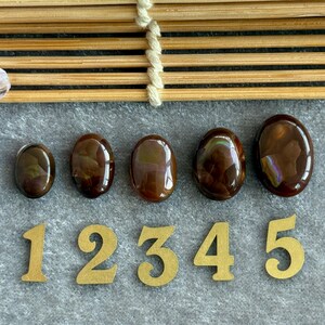 May include: Five polished, oval-shaped gemstones in varying sizes, displaying rich brown hues with internal patterns. The gemstones are arranged in a row above golden numbers 1 through 5. The background is a neutral gray surface with a bamboo-style element.