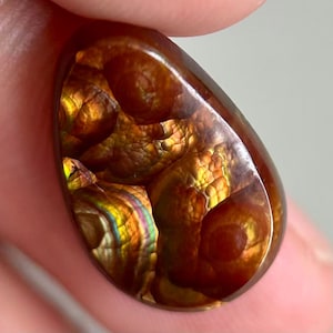 May include: A polished, teardrop-shaped fire agate gemstone featuring deep reddish-brown tones, iridescent golden-orange highlights, and distinct botryoidal, bubble-like internal structures that create a layered, multi-dimensional appearance.