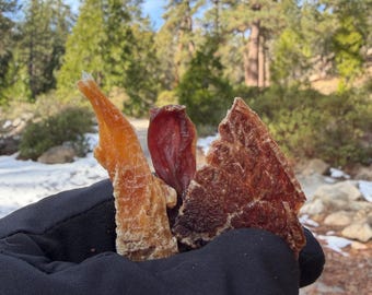 All Natural Dehydrated Dog and Cats Treats – Beef, Chicken & Pork Loin Single Ingredient Dog Snacks Homemade dog and cat treats