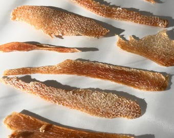 Dehydrated Chicken Dog Treats – Healthy High Protein Chicken Jerky for Dogs and Cats All Natural Dogs/Cats Treats