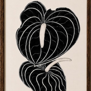 Può includere: Una stampa d'arte incorniciata che raffigura un'illustrazione botanica di due fiori di anthurium neri con venature bianche prominenti e spadici bianchi testurizzati. L'opera è su sfondo crema chiaro in una cornice marrone scuro.