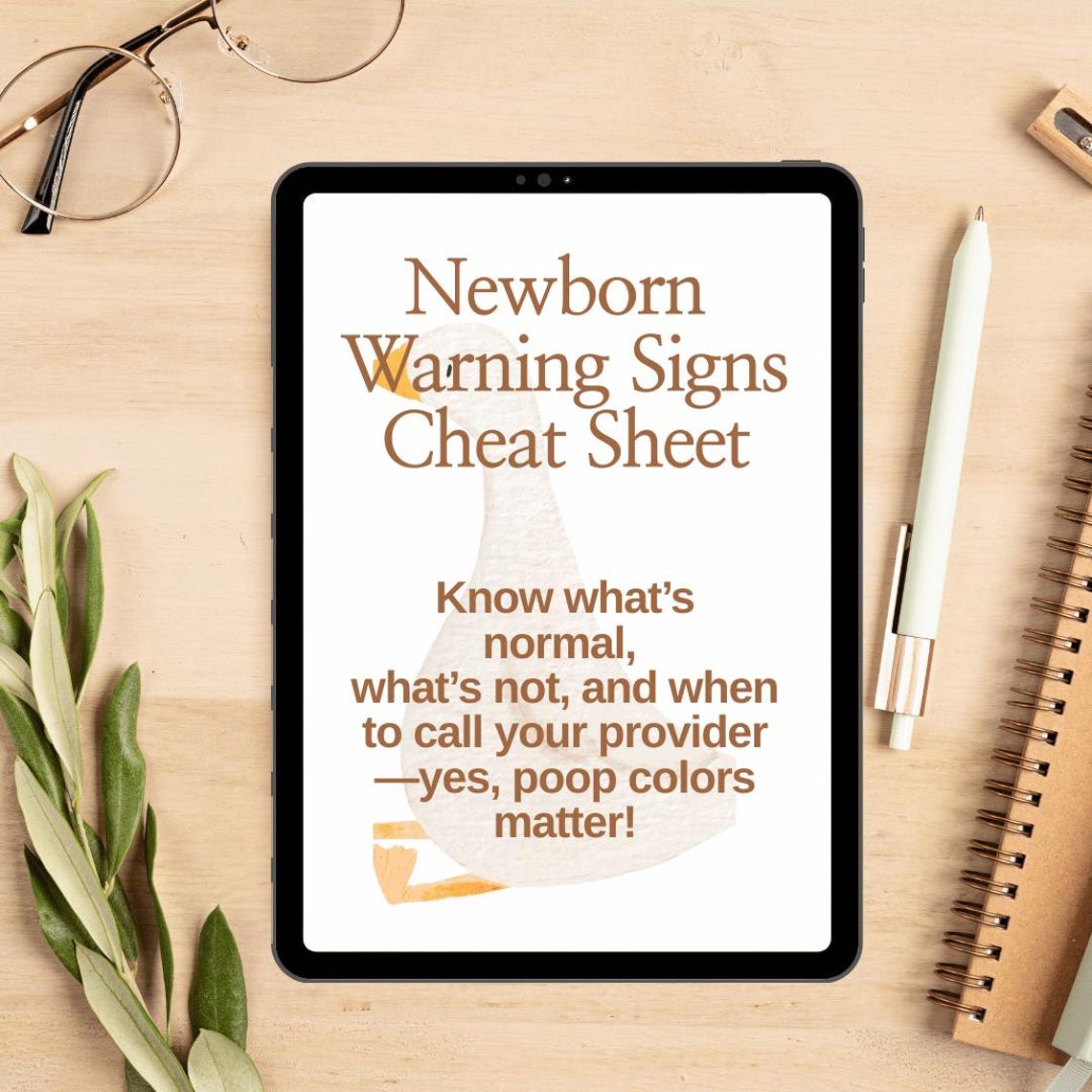 Newborn Warning Signs Cheat Sheet | Baby Poop Color Decoder | Infant ...