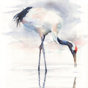 Sandhill Crane Print, , Póster, Acuarela, Arte, Arte mural, Impresión de pájaros, Decoración, Cumpleaños de regalo de pájaros, Ilustración de grúas, Pintura de grúas