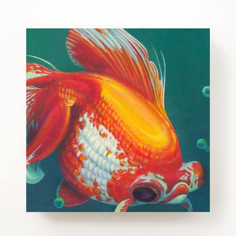 Telescope Eye Goldfish Mounted Print