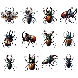 以下が含まれることがあります： さまざまなカブトムシの12の精巧なイラストのコレクション。カブトムシは、茶色、黒、緑などのさまざまな色を示し、複雑な羽と体の模様があります。一部のカブトムシは大きな角または顎を持っています。