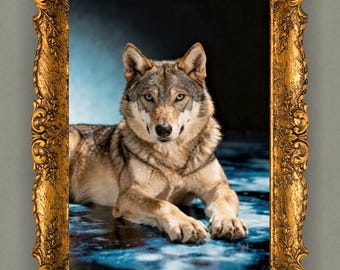 Majestic Wolf Wall Art Printable | Powerful Wildlife Photography | Digital Download