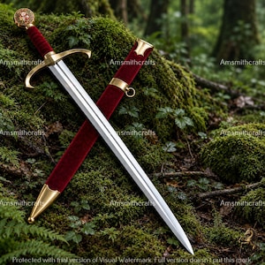 May include: A steel sword with a double-edged blade, a gold-toned crossguard, and a deep red velvet-wrapped grip. The pommel features a circular emblem. A matching red velvet scabbard with gold-toned metal fittings lies diagonally behind the sword.