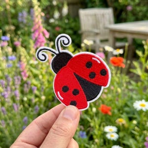 Ladybug Iron on Patch, Embroidered Insect Applique for Jean Jacket, Cute Red Bug Badge for Backpack