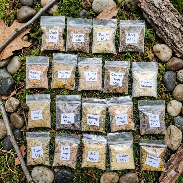 Hermit Crab Sampler Pack Tiny 1×1 inch