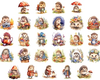 Pacote de imagens PNG de ouriços-cacheiros em aquarela para designs fofos e criativos.