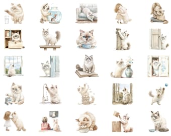 Pacote de Clipart de Gato Ragdoll em Aquarela, Camiseta Comfort Colors, PNG de Gato Fofo, Clipart de Gatinho, Ilustração de Animal de Estimação, Presente para Amantes de Gatos, PNG para Imprimir