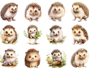 Pacote de imagens PNG de ouriços-cacheiros fofos em aquarela para designs delicados e criativos.