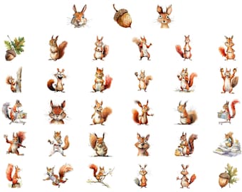 Pacote de Clipart de Esquilos Divertidos, PNG de Animais Fofos da Floresta, Personagens de Esquilos de Desenho Animado, Conjunto de Clipart de Animais da Floresta