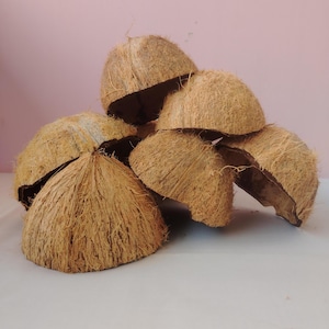 Puede incluir: Un montón de cáscaras de coco marrones, con una textura áspera y fibrosa. Las cáscaras están dispuestas de forma desordenada, mostrando su forma natural y orgánica. La imagen se presenta sobre un fondo rosa suave.