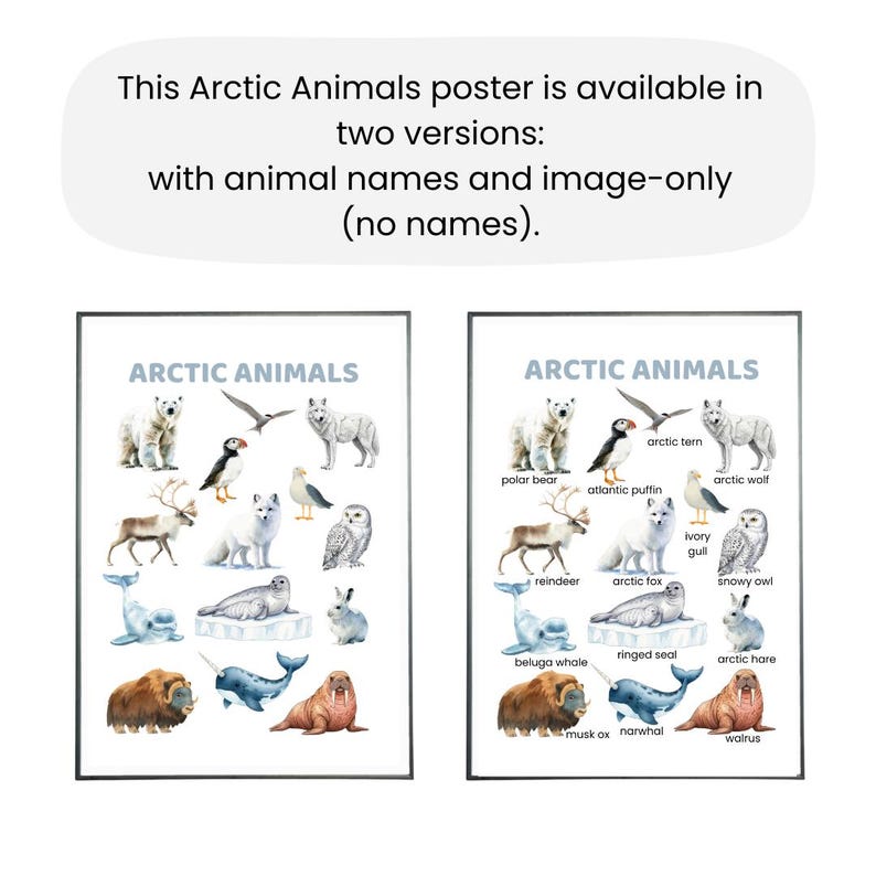 Polar Animals Poster | Arctic Animals Wall Art | Educational Poster for ...