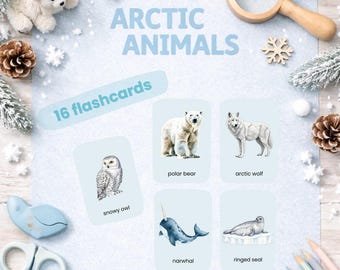 Arctic Animals Flashcards for Preschool | Printable Arctic Animal Cards | Early Learning & Vocabulary | Ages 3–6