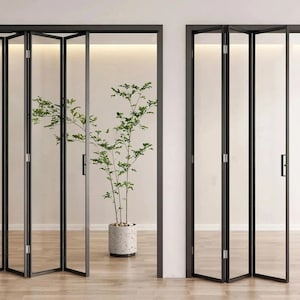 May include: Two black framed folding glass doors. One door is partially open, revealing a potted plant with green leaves. The doors are set in a white wall with a light wood floor. The doors have black handles and hinges.