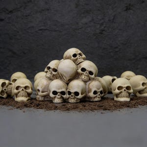 以下が含まれることがあります： 土の上に配置された、小さなオフホワイトの頭蓋骨の置物の山。 頭蓋骨は、眼窩、鼻腔、歯で詳細に表現されています。 背景は暗く、質感のある表面です。