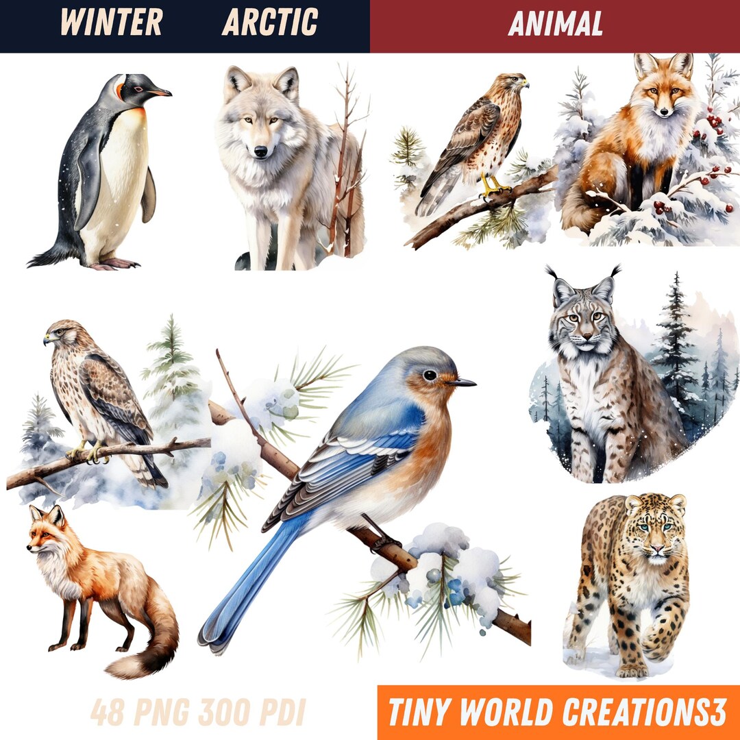 Watercolor Arctic Animals Clipart Cute Animaolar Animals | Nursery ...