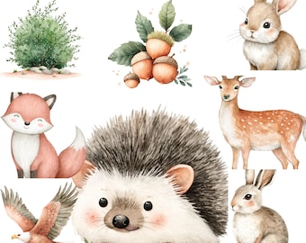 Cute Woodland Animal Clipart - Watercolor - Nursery Clipart - Forest Animals Png - Kid's Clipart - Sublimination  - Woods 66 png