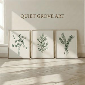May include: Three framed botanical prints with watercolour illustrations of eucalyptus and olive branches. The prints have a light beige background and wooden frames. The text "QUIET GROVE ART" is above the prints.